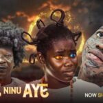 Aye Ninu Aye (2025)