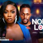 Nora’s Lover (2025)
